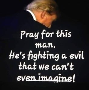 Meet your Posher, Naida